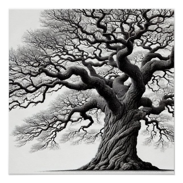 Poster Style art Old Tree Ink (Devant)