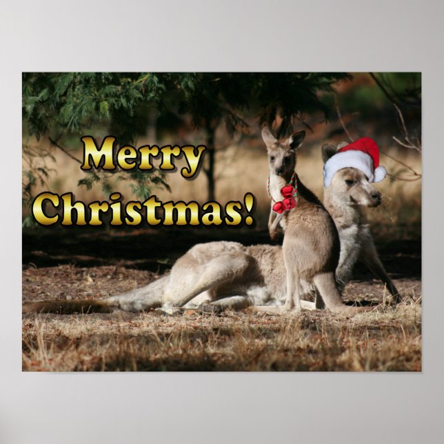 Poster Style australien Kangaroos de Noël (Devant)
