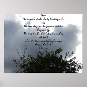 POSTER STYLE D'AFFICHE ET DE CONCEPTION