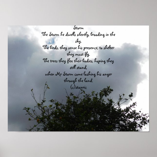 POSTER STYLE D'AFFICHE ET DE CONCEPTION  (Devant)