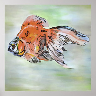 Poster Style de dessin Ryukin Poisson d'or peinture acryl