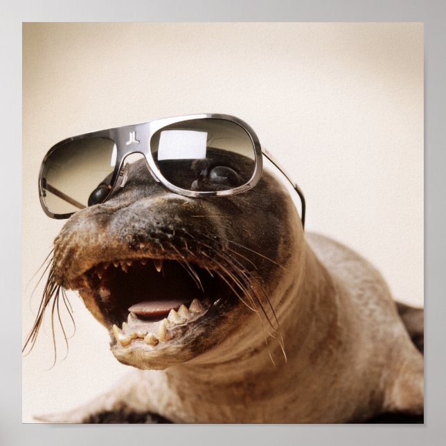 Poster style de joint (Devant)