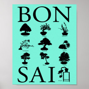 Poster Styles de base de l'arbre Bonsai