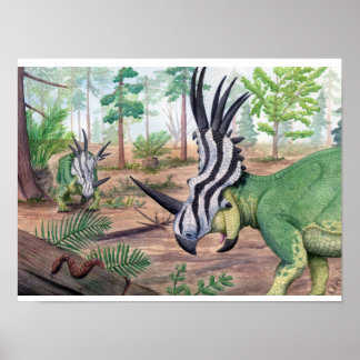 Poster Styracosaurus