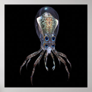 Poster Subnautica Crabsquid