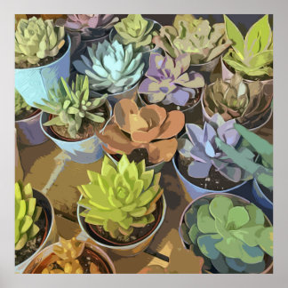 Poster Succulent
