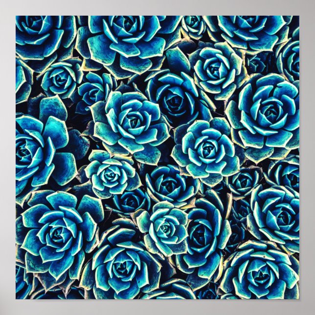 Poster Succulents (Devant)