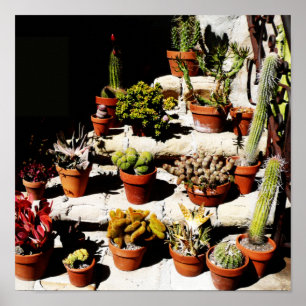 Poster Succulents dans des pots en terre cuite dans le so
