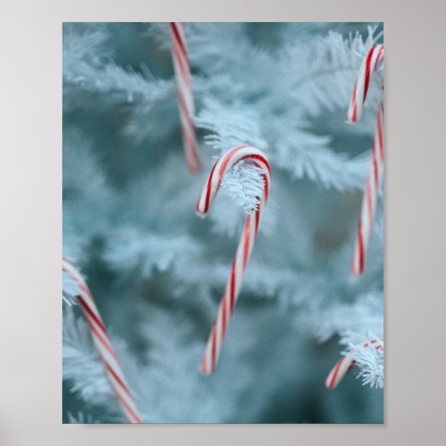 Poster Sucre de canne sur l'arbre (Devant)