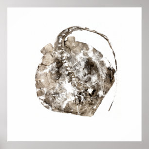 Poster Sud de Stingray