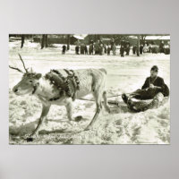 Suède vintage, Reindeer traîneau, Folk Museum,