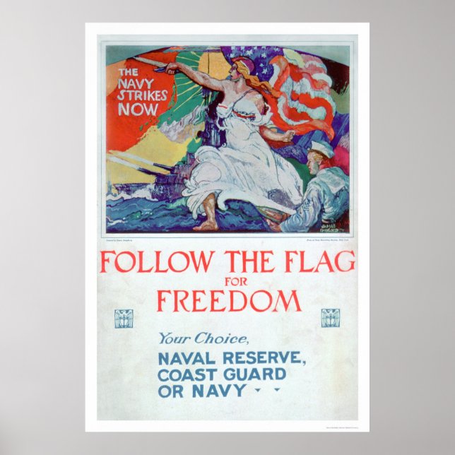 Poster Suivez le drapeau de la liberté (US02179) (Devant)