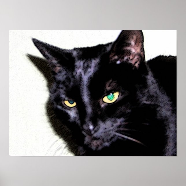 Poster Sumio de chats noirs (Devant)