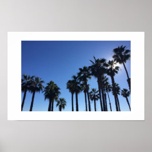 Poster Summer Ocean Palms et Sky Color Photography
