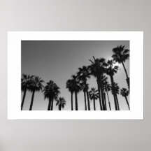 Summer Ocean Palms Photographie noir et blanc