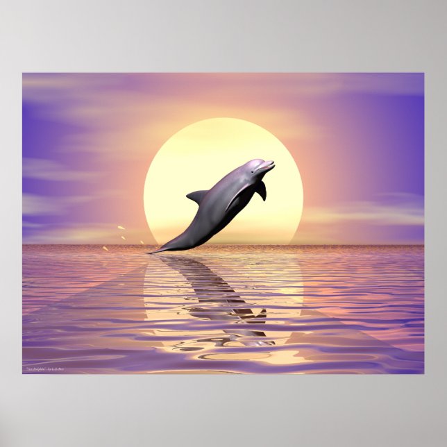 Poster Sun Dolphin (Devant)
