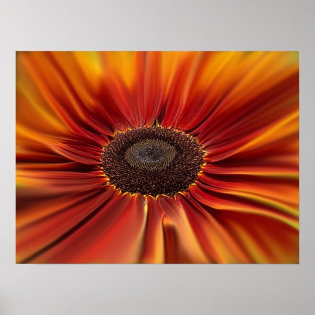 Poster Sunburst (Devant)