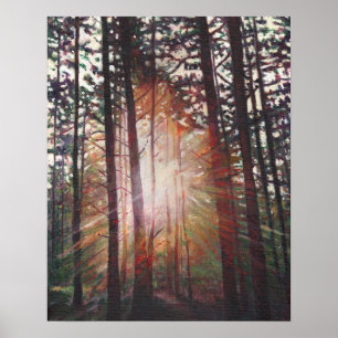 Poster Sunburst 2010