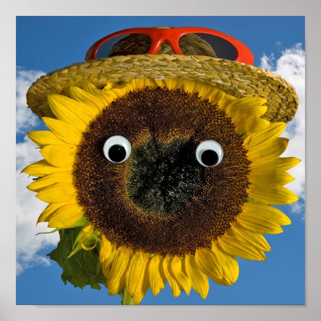 Poster Sunflower Summer Fun (Devant)