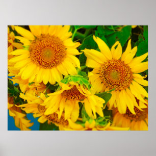 Poster Sunflowers City Market KC Farmer's Market