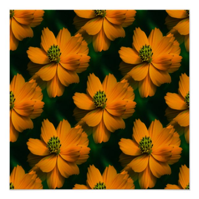 Poster Sunlight Love... (Devant)