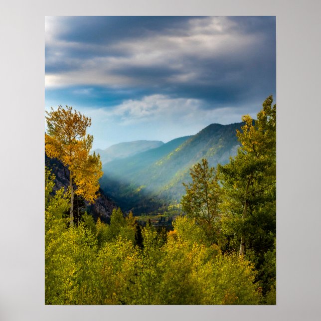 Poster Sunlight Valley // Forêt de couleurs d'automne (Devant)