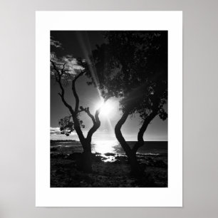 Poster Sunlit Shore Hawaii Photographie noir et blanc