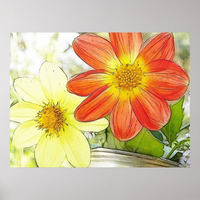 Poster Sunny Dahlias (Devant)