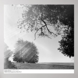 Poster Sunny Day, Université de Californie, Père Noël Cru