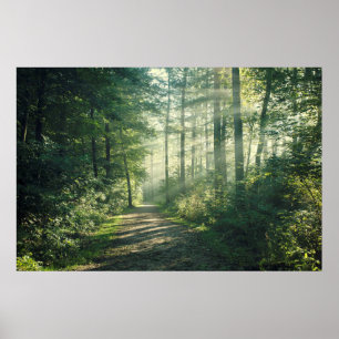 Poster Sunny Octobre Matin à Hambourg