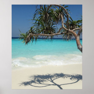 Poster Sunny Tropical Beach Ocean Paradise