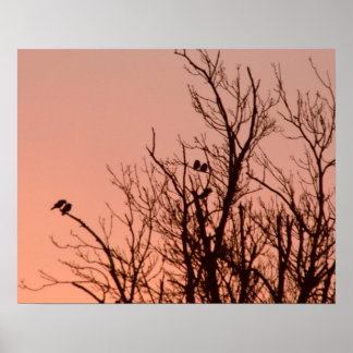 Poster - Sunrise