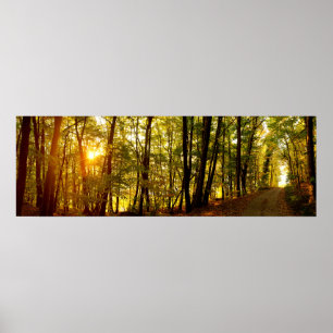 Poster Sunrise Forestière