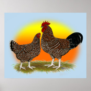 Poster Sunrise Sussex