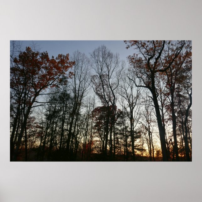 Poster Sunset de novembre (Devant)