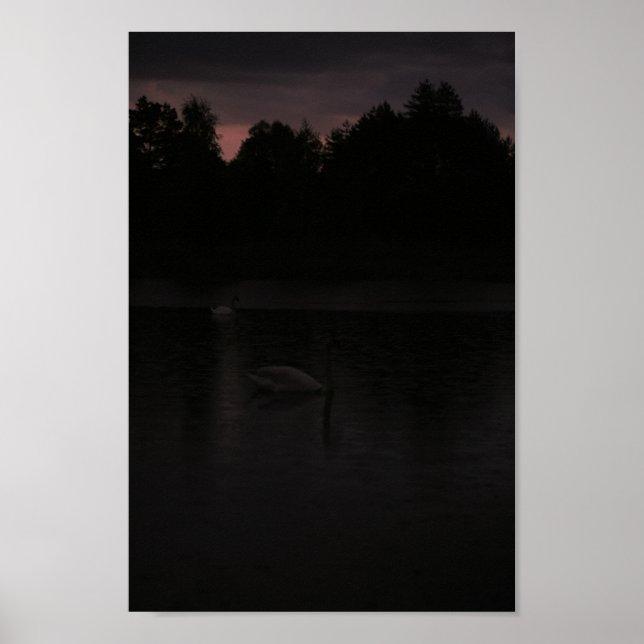 Poster Sunset Lake Rain Swans Nature Paysage (Devant)