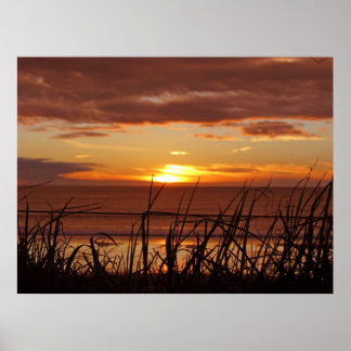 Poster Sunset néo-zélandais