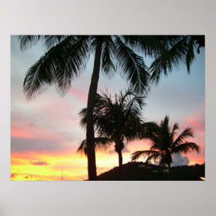 Poster Sunset Palms Tropical Paysage Photographie