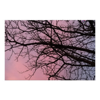 Poster Sunset Tree Branches Photograph Planetm13