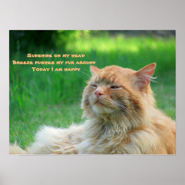 Poster Sunshine Breeze Happy Cat Haiku