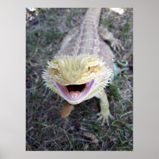 Poster Super Happy Bearé Dragon