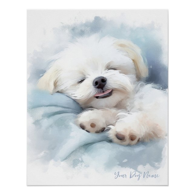 Poster Super mignon ange couchant chiot maltais chien 001 (Devant)