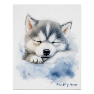 Poster Super mignon ange couché chiot Siberian Husky Chie