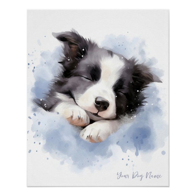 Poster Super mignon ange dormant chiot Border Collie chie (Devant)
