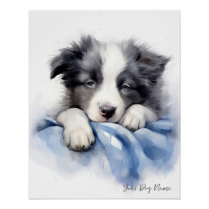 Poster Super mignon ange dormant chiot Border Collie chie