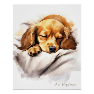 Poster Super mignon ange dormant chiot Dachshund Chien 00