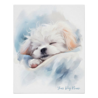 Poster Super mignon ange dormant chiot maltais chien 003