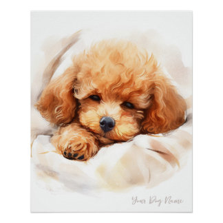 Poster Super mignon ange dormant chiot Poodle Dog 003