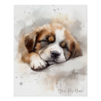 Super mignon ange dormant chiot Saint Bernard Chie