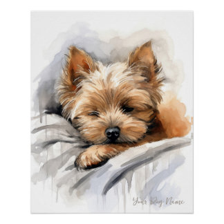 Poster Super mignon ange endormi chiot Yorkshire Terrier
